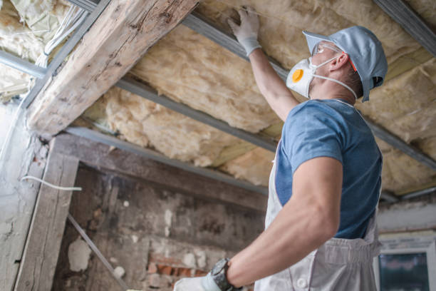 Best Insulation Installation Services in Gateway, AK